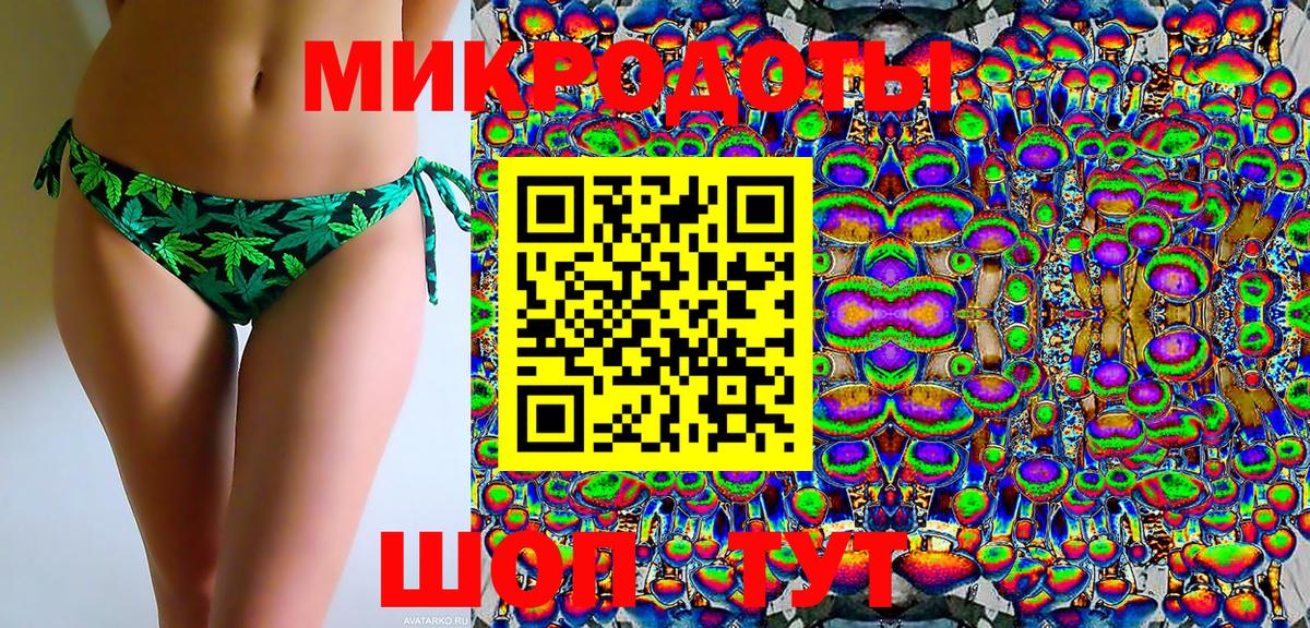 Галлюциногенные грибы Psilocybine cubensis Курчатов
