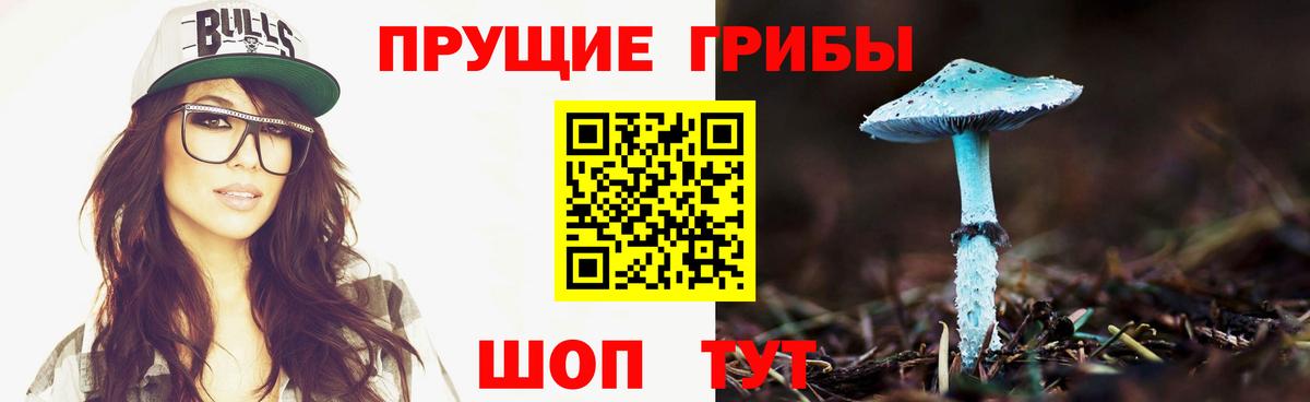 Псилоцибиновые грибы Psilocybine cubensis  Вход с VPN  Курчатов 